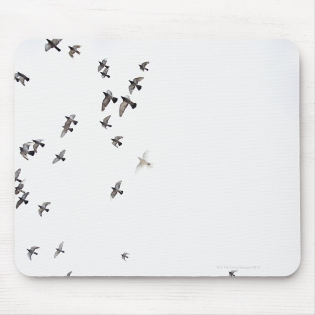 Mousepad Um bando de pássaros voa no céu (Frente)