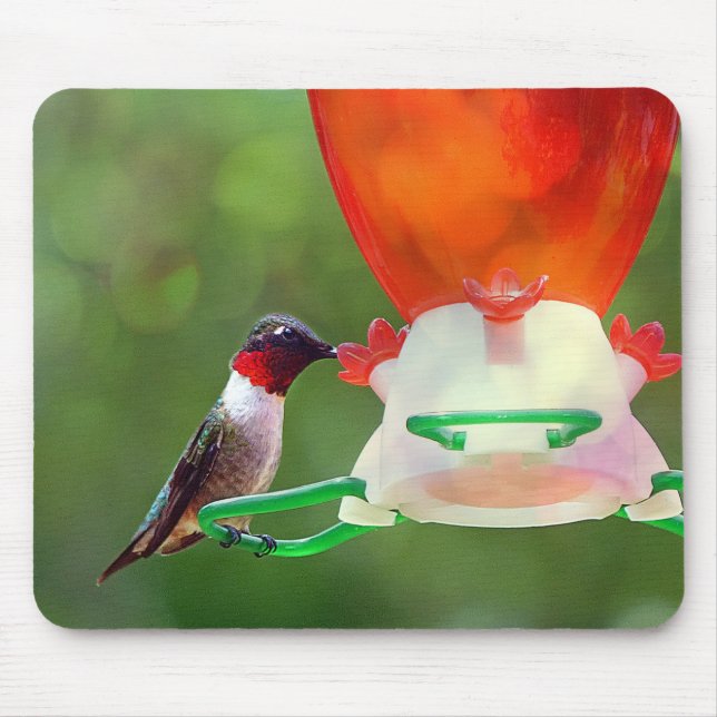 Mousepad Um beija-flor robusto (Frente)