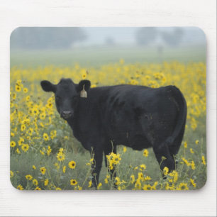 Mousepad Um bezerro entre os girassóis de Nebraska