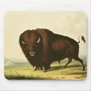 Mousepad Um bisonte, c.1832