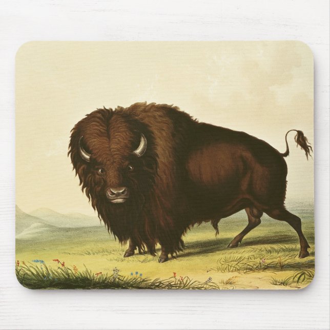Mousepad Um bisonte, c.1832 (Frente)