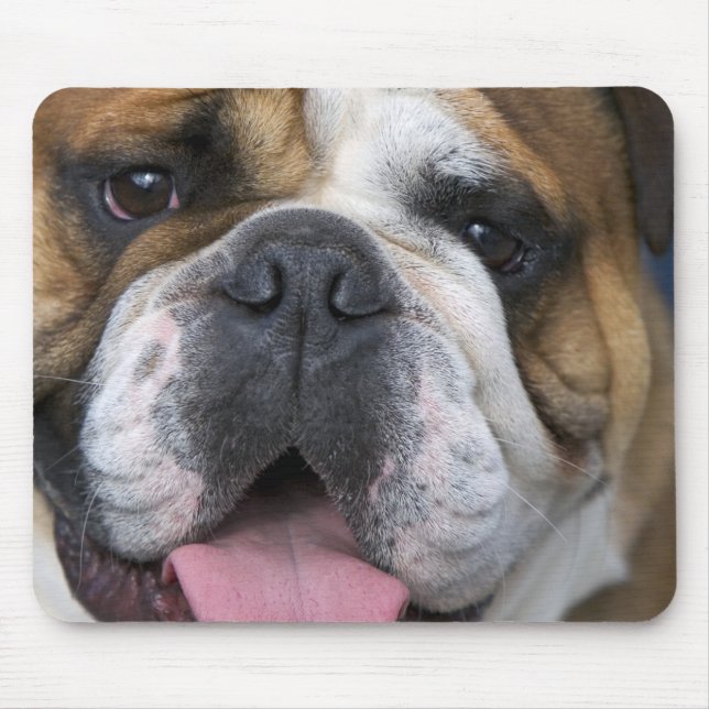Mousepad Um buldogue inglês na Bélgica. (Frente)