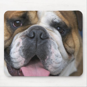Mousepad Um bulldog inglês na Bélgica.
