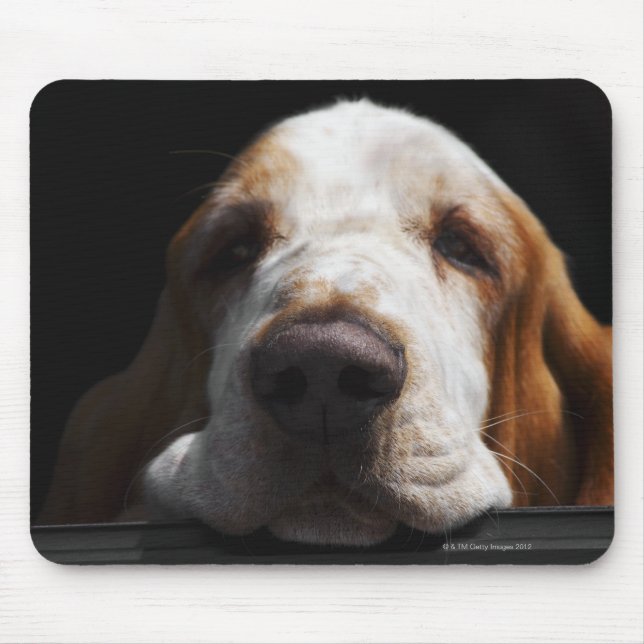 Mousepad Um Caçador Basset descansando a cabeça (Frente)