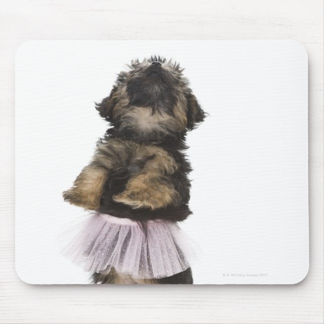 Mousepad Um cachorrinho Yorkie-poo em um tutu nas pernas tr (Frente)