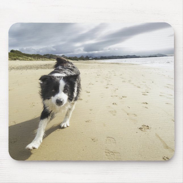 Mousepad Um cão de border collie que funciona na praia (Frente)