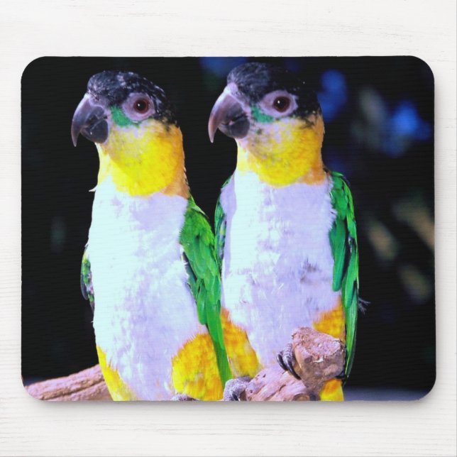 Mousepad Um casal feliz (Frente)