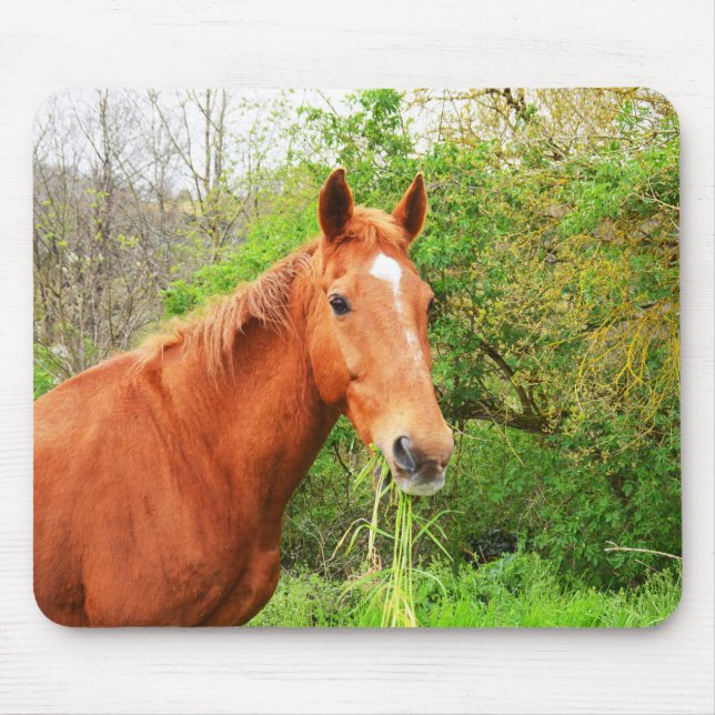 Mousepad Um cavalo chamado Orion (Frente)