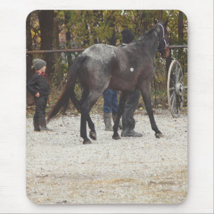 Mousepad Um cavalo novo