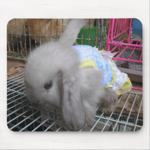 Mousepad Um coelho em um vestido