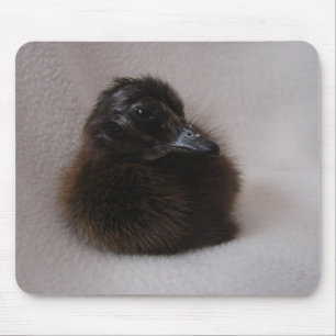 Mousepad Um Dia de Ducking
