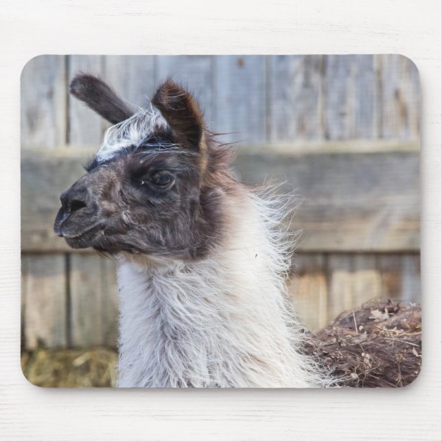 Mousepad Um feliz Llama (Frente)