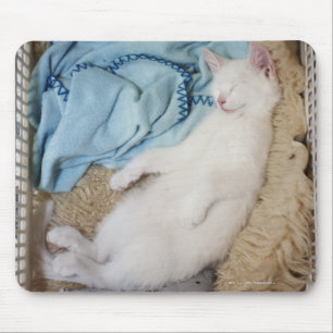 Mousepad Um gato branco que dorme em uma cesta de