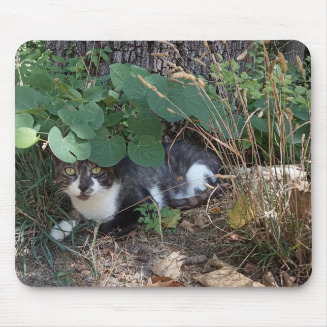 Mousepad Um gato escondido (Frente)