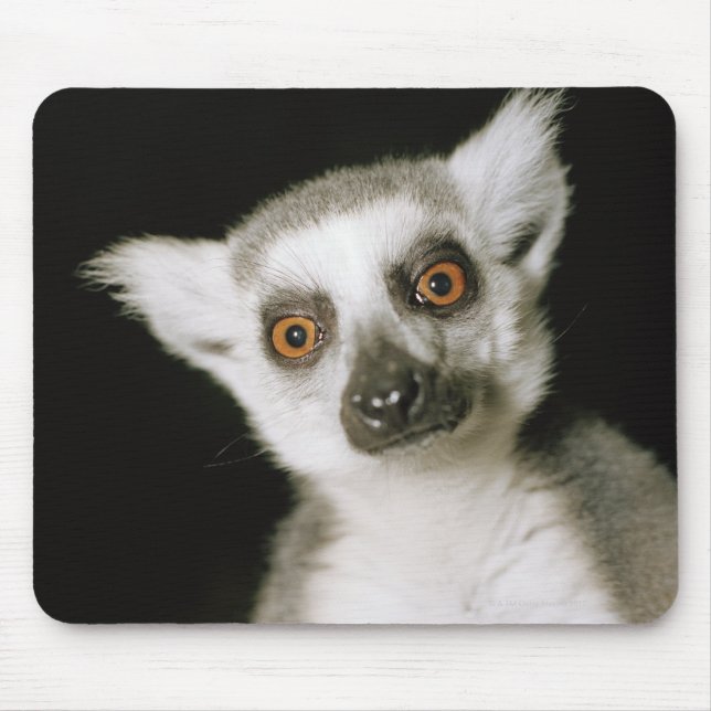 Mousepad Um lêmur. (Frente)