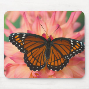Mousepad Um Mimético da Borboleta Monarca