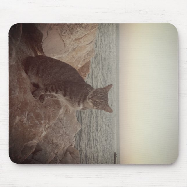 Mousepad Um modo Cat (Frente)