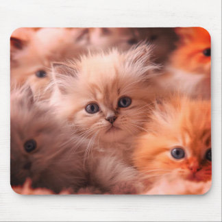 Mousepad Um monte de gatinhos fofos em um tablet de desktop