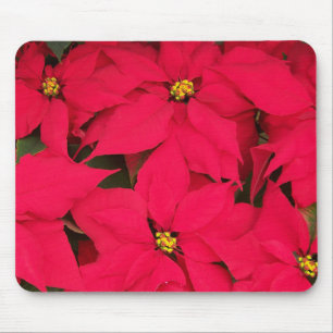 Mousepad Um monte de Poinsettias de Natal Brilhante