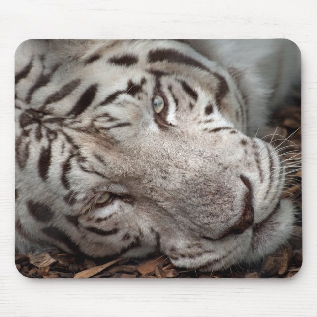 Mousepad Um olho observador (Frente)