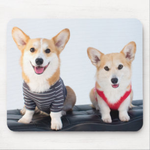 Mousepad Um par de Corgis que sentam-se em um banco