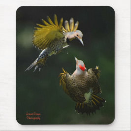Mousepad Um par de Nortes