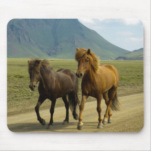 Mousepad Um par de ricos castanhos islandeses