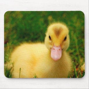Mousepad Um patinho minúsculo