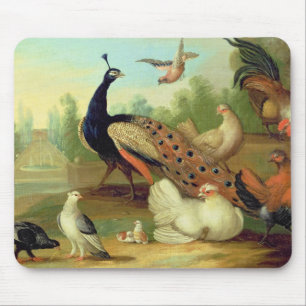 Mousepad Um pavão, pombas, galinhas e um Jay em um parque