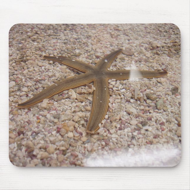 Mousepad Um rato de Starfish (Frente)