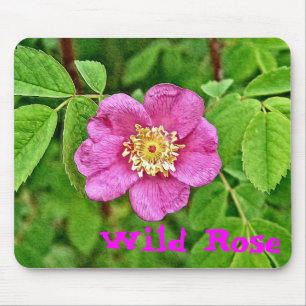 Mousepad Um Rosa selvagem