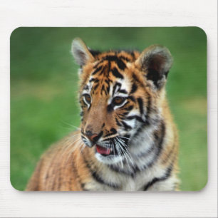 Mousepad Um tigre de bebê bonito
