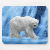 Um Urso Polar na cascata congelada