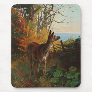 Mousepad Um Veado Bonito Na Floresta