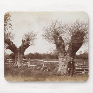 Mousepad Uma árvore do Hedgerow, 1852 (impressão do album