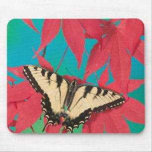 Mousepad Uma Borboleta Canadense Tiger Swallowtail