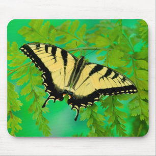 Mousepad Uma Borboleta Rabo de Andorinha Pousando