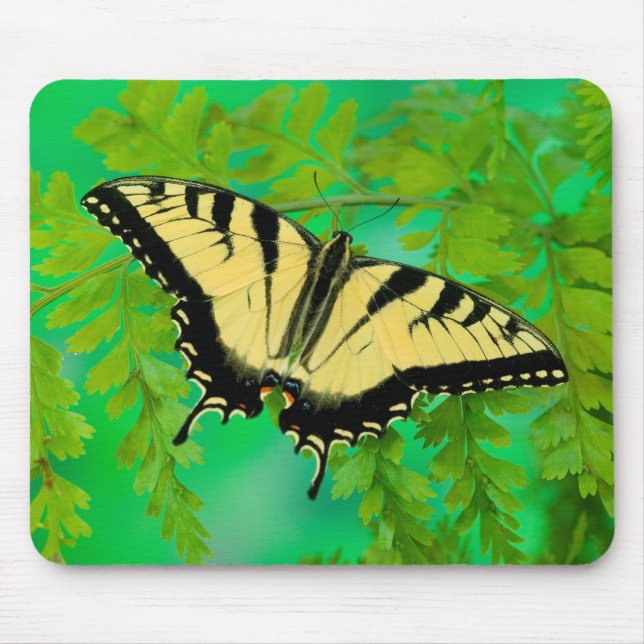 Mousepad Uma Borboleta Rabo de Andorinha Pousando (Frente)
