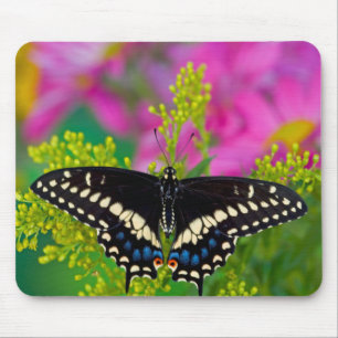 Mousepad Uma Borboleta Swallowtail Pousando