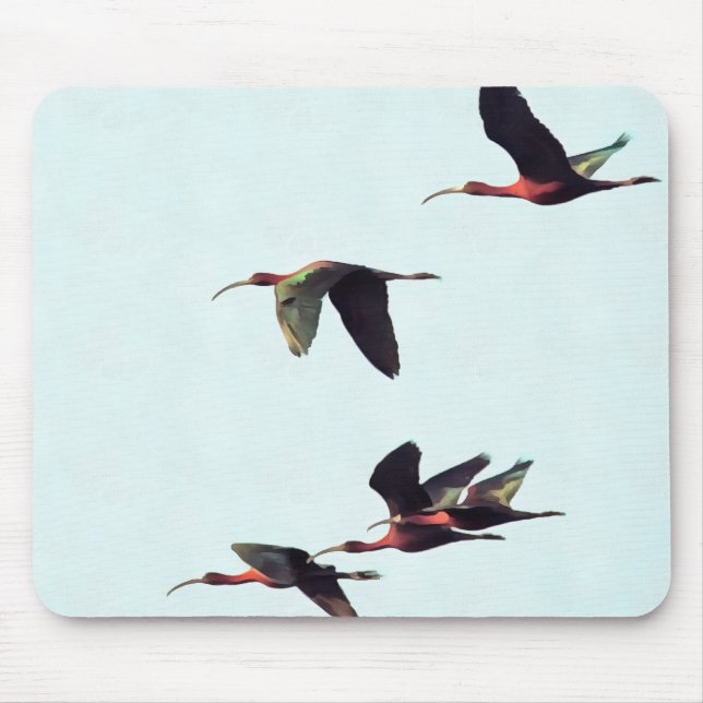Mousepad Uma borda de Ibises em Voo (Frente)