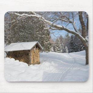 Mousepad Uma cena nevada no Little Lyford Pond da AMC