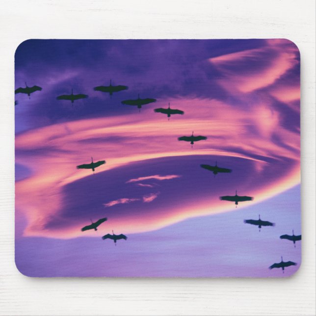 Mousepad Uma composição fotográfica de grous-da-sibéria em  (Frente)