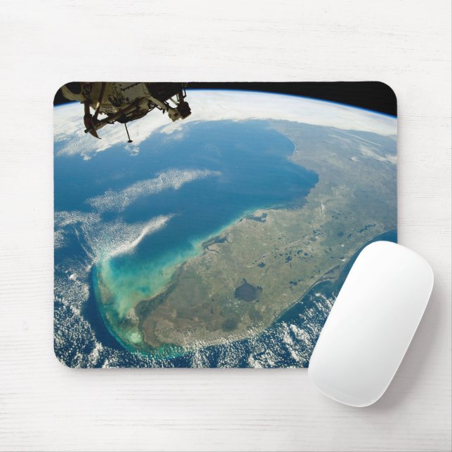 Mousepad Uma Flórida Oblíqua, Na Costa Sudeste (Com mouse)