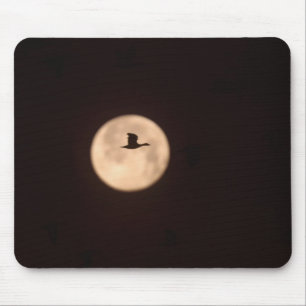Mousepad Uma Gansa-das-neves Contra Uma Lua Cheia Novo Mé