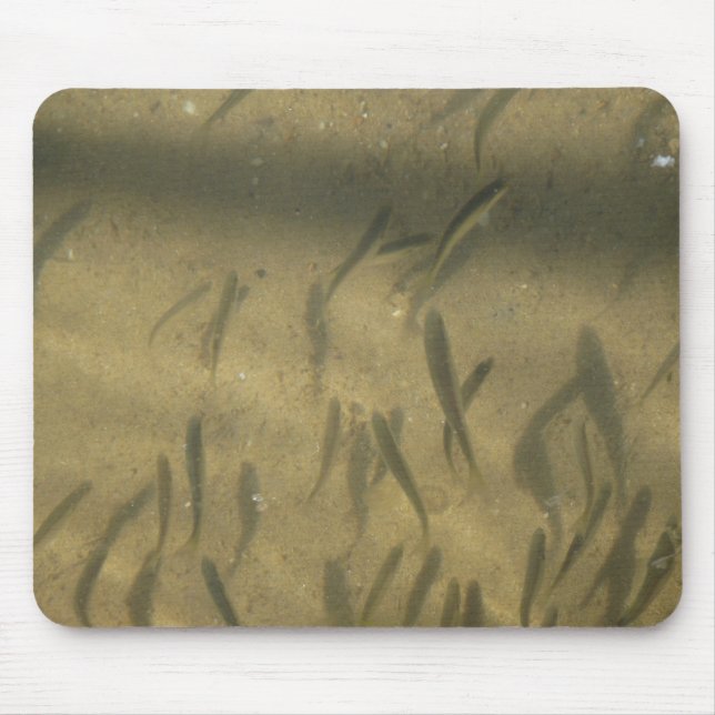 Mousepad uma história de pesca (Frente)