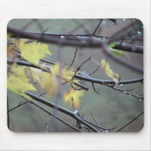 Mousepad Uma manhã chuvosa no outono (queda) com um Bree
