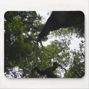 Mousepad Uma Nova Perspectiva - Árvores