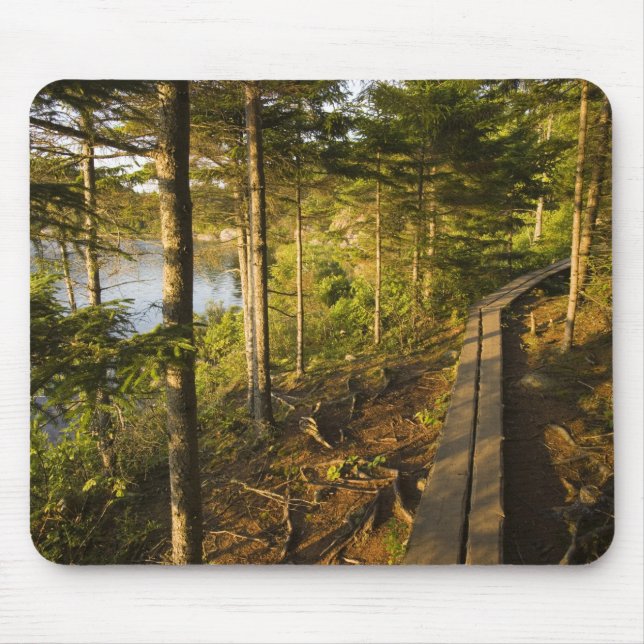 Mousepad Uma passarela de madeira no Parque Nacional Acadia (Frente)