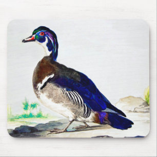 Mousepad Uma pintura de pato por Aert Schouman