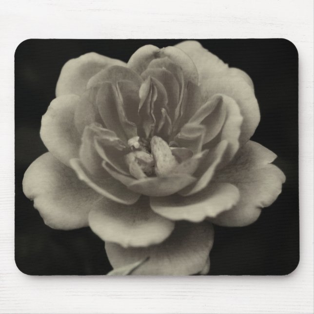 Mousepad Uma rosa para a amada.... (Frente)